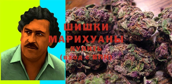 спиды Костерёво