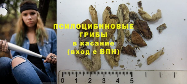 кристаллы Козловка