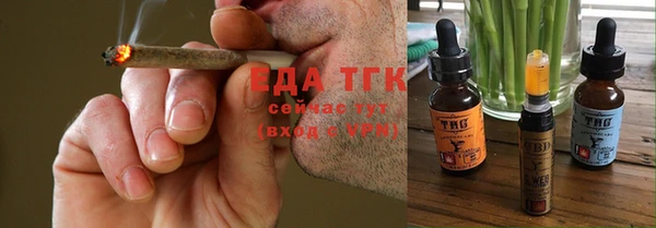 стаф Корсаков