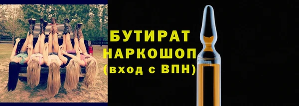 стаф Корсаков