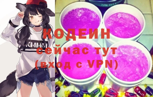 стаф Корсаков