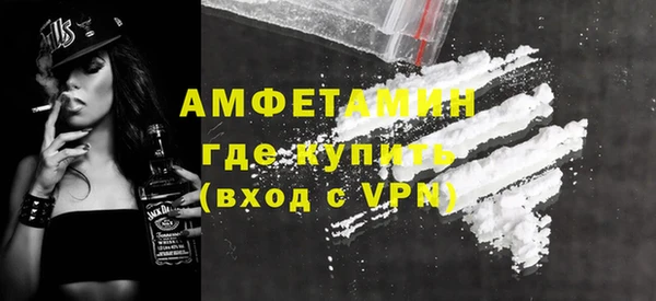 стаф Корсаков