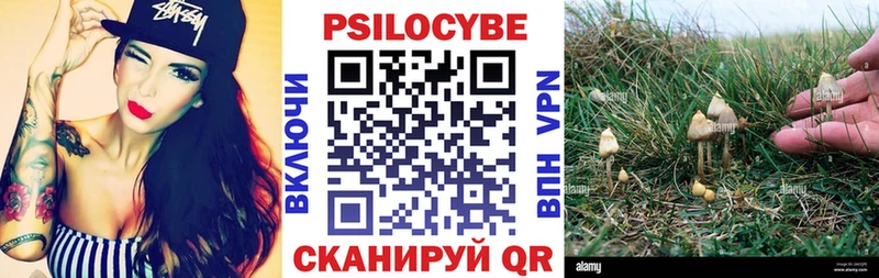 Купить закладки  Джанкой  Галлюциногенные грибы Psilocybe 